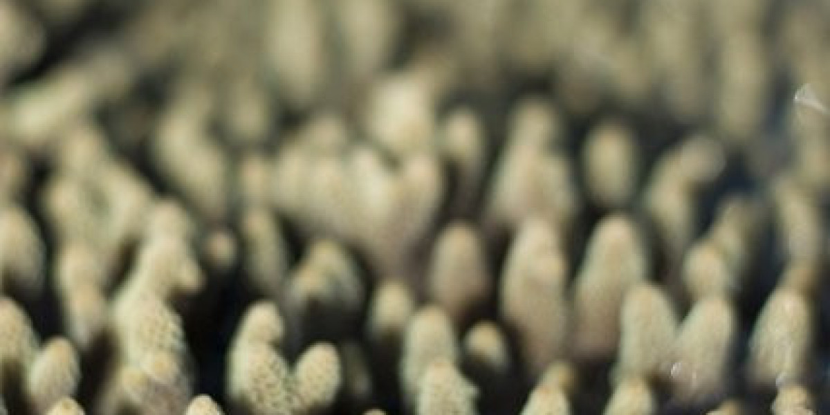 Wachstumshormon: Nutzen, Nebenwirkungen und Therapie erklärt