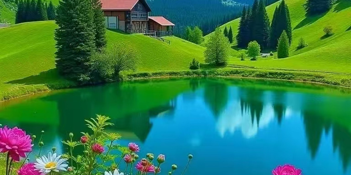 ESPN assignments the Bengals in the direction of be a playoff personnel