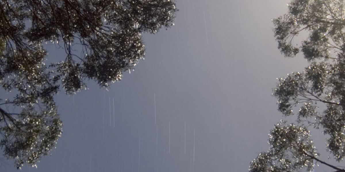 Official Website in Australia 2025