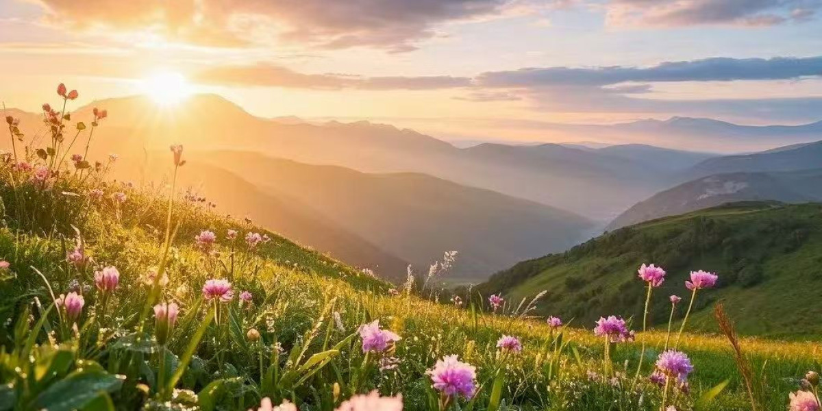 Andrew McCutchen hopes bench-clearing accident sparks Pirates