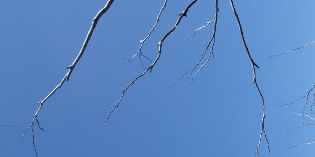 15 Best Online Casinos Australia 2025 Real Money Casino Sites