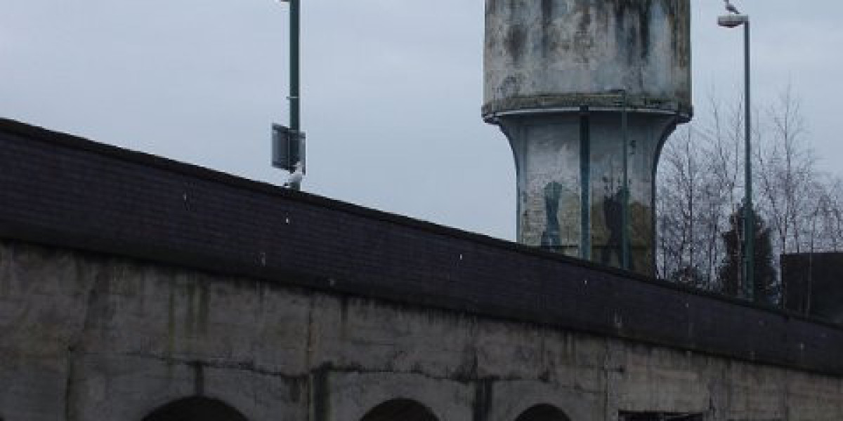 Top USA Online Casinos: Find New Sites & Highest Payouts