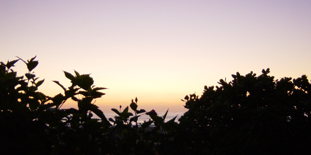 Rocketplay Casino Review: Top Online Casino in Australia Play at Rocketplay