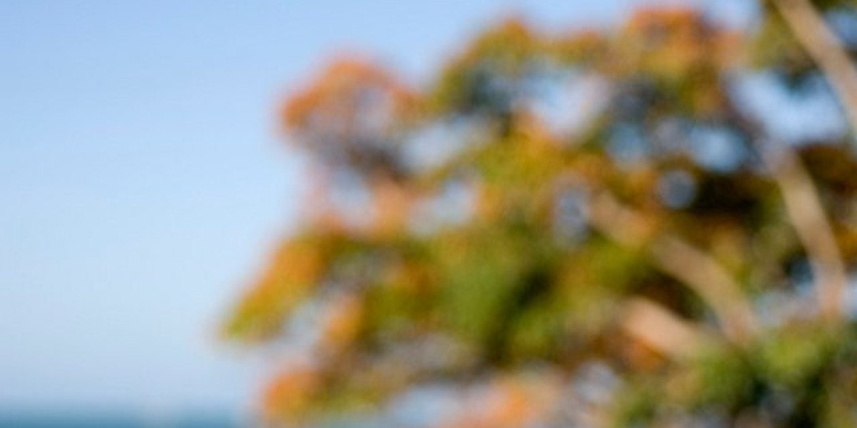 10 Best Real Money Online Casinos for USA Players in 2025