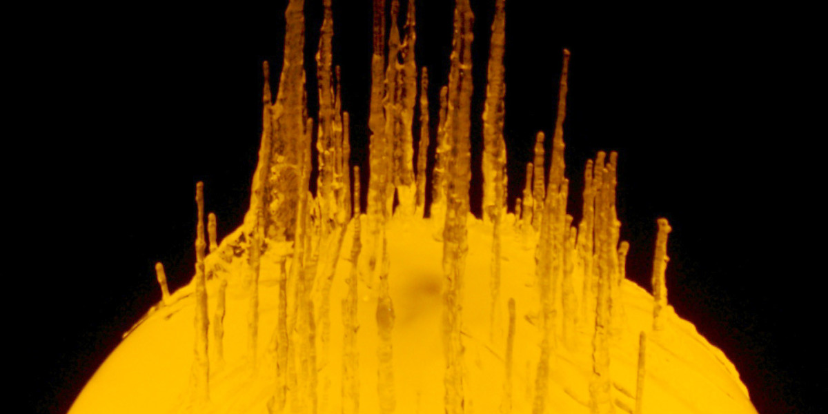 TOP 10 Best Online Casinos Australia For Real Money 2025