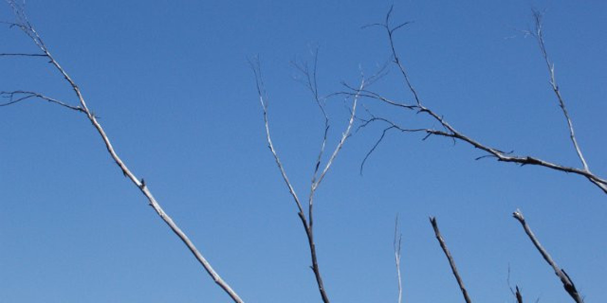 Lоg intо Skу Crоwns Website in Аustralia