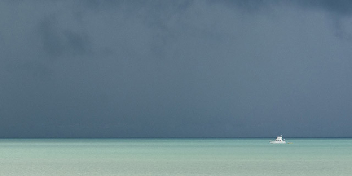 Expert & Player Ratings 2025