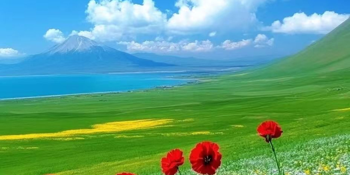 Re-Indication or Stroll: Houston Texans Defensive Handle Foley Fatukasi