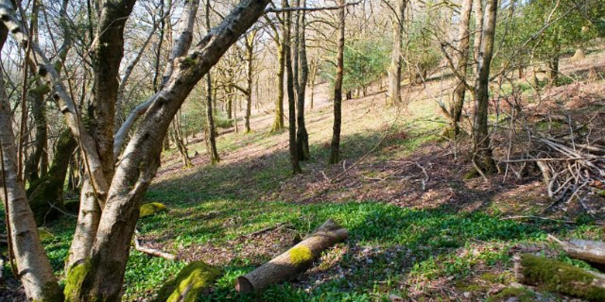 New Promo Coupons Best Online Pokies 400% + 100 Free Spins on 2 Deposits Login Sign Up Tournaments Mobile App Casino Gam