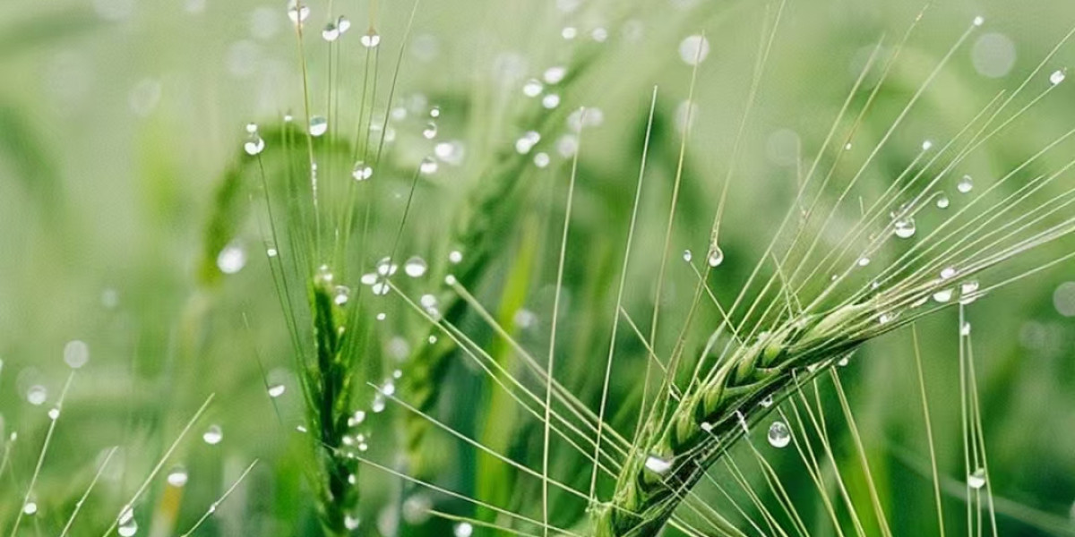 Match PREVIEWces End Out Highway Holiday with 12 pm PT Idea Sunday inside of Washington, DC