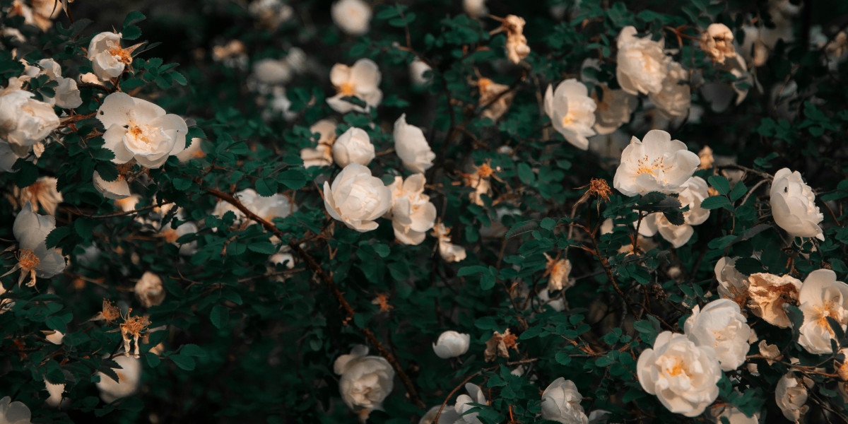 u4gm What Makes Vaal Temple So Profitable guide