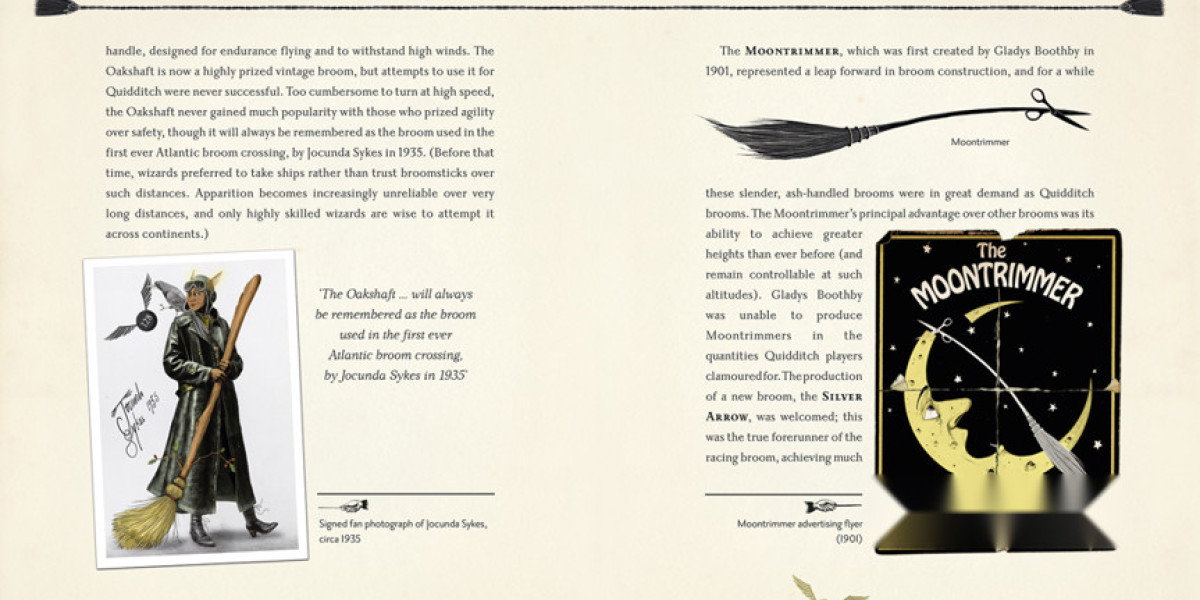 Quidditch Through the Ages: New Illustrated Edition