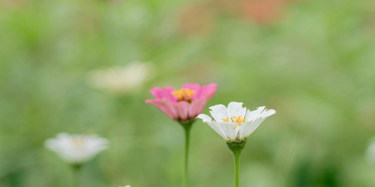 EZNPC ARC Raiders Leaper farming tips on Dam Battlegrounds